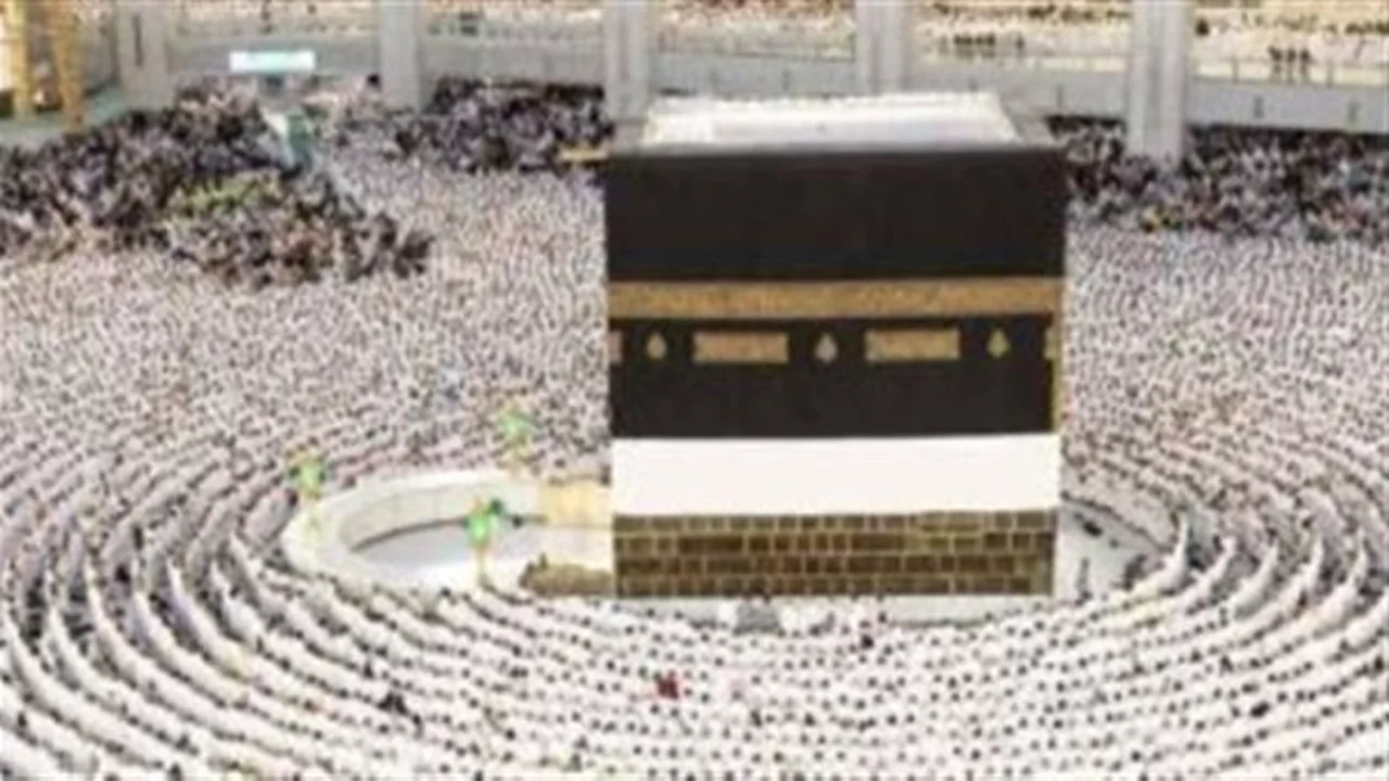 استقرار الوضع الصحي.. الحجاج المصريون في أمان بعيدًا عن الأوبئة